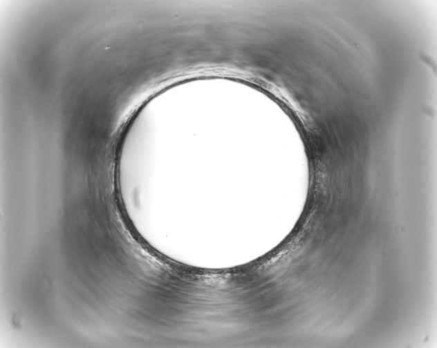 X0000093161504200710241010