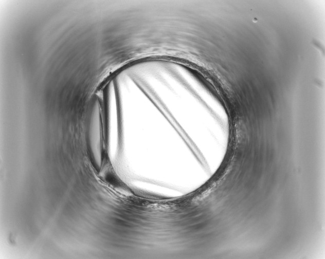 X0000093161505200710241010