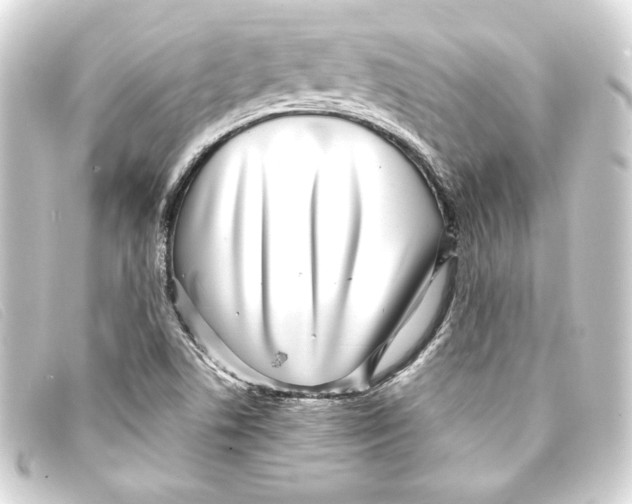 X0000093161506200710241010