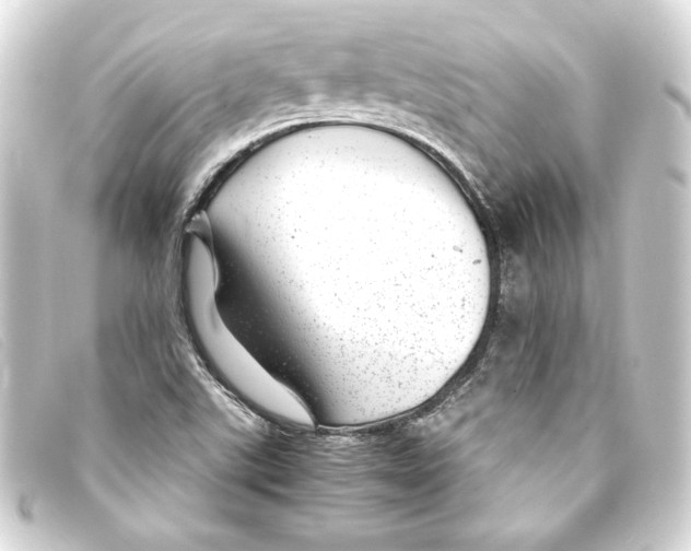 X0000093161507200710241010