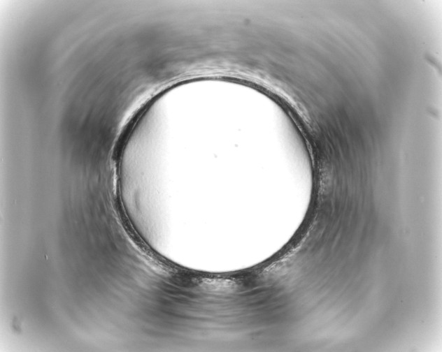 X0000093161509200710241010