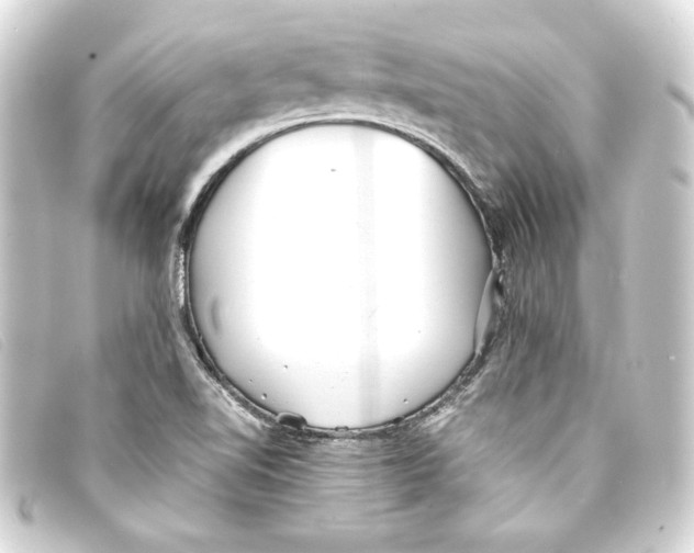 X0000093161510200710241010