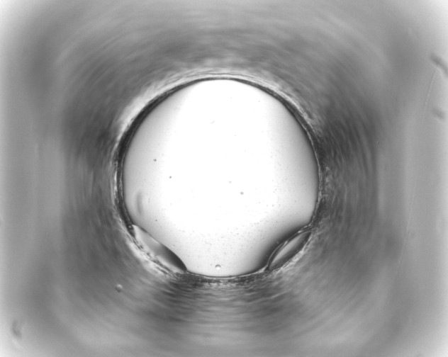 X0000093161511200710241010
