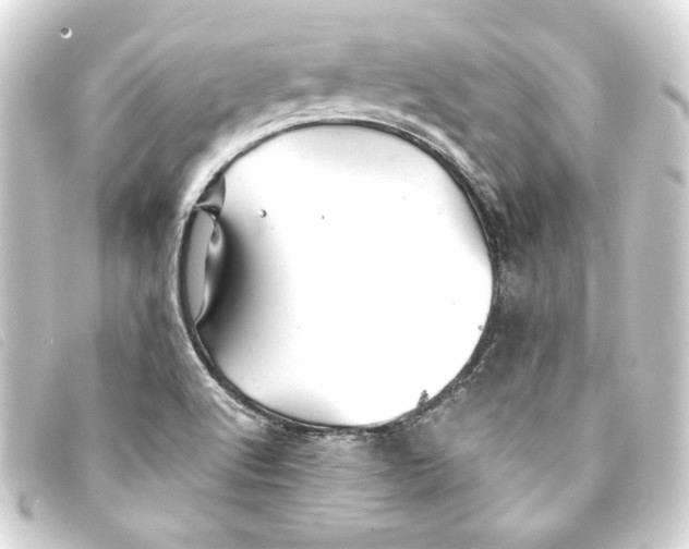 X0000093161512200710241010