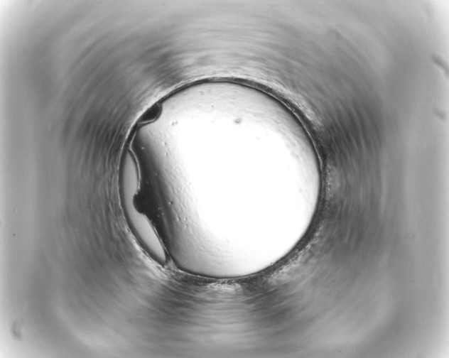 X0000093161513200710241010