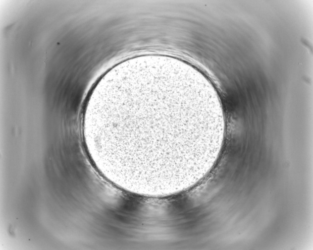 X0000093161514200710241010