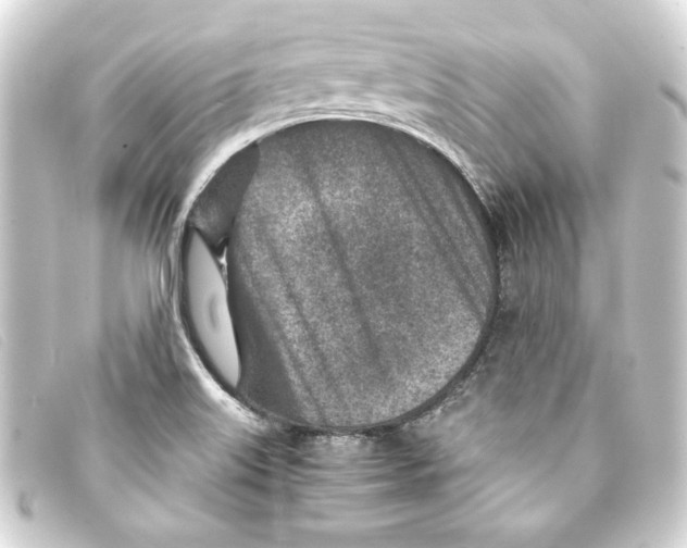 X0000093161515200710241010