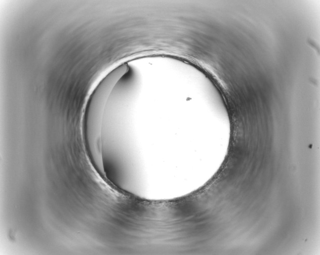 X0000093161516200710241010