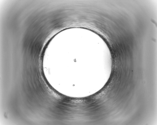 X0000093161517200710241010