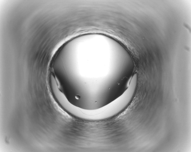 X0000093161518200710241010