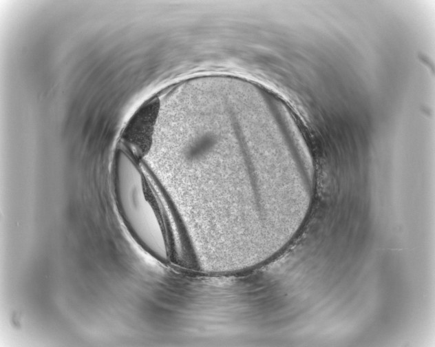 X0000093161519200710241010