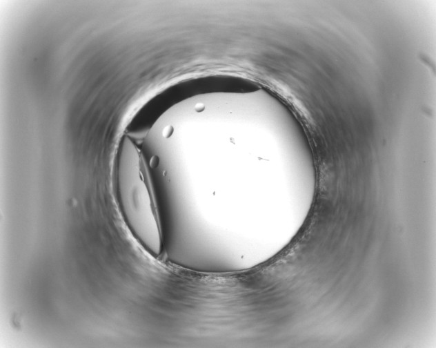 X0000093161520200710241010