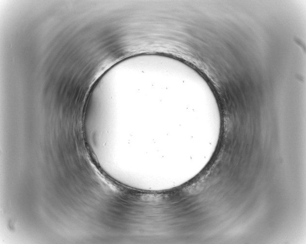 X0000093161521200710241010