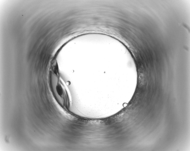 X0000093161523200710241010