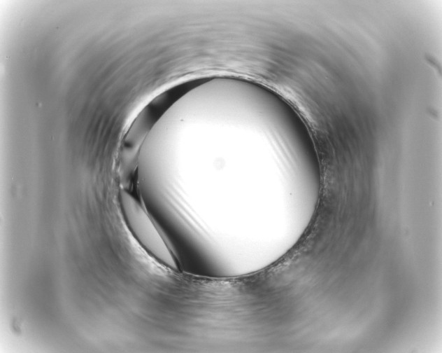 X0000093161524200710241010
