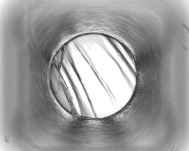 X0000093161525200710241010