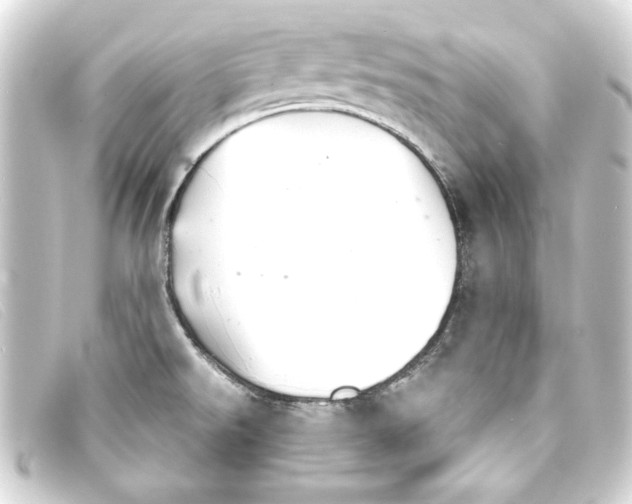 X0000093161526200710241010