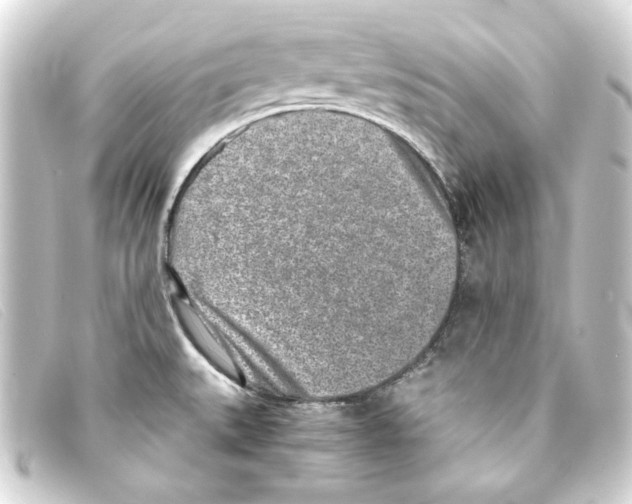 X0000093161527200710241010