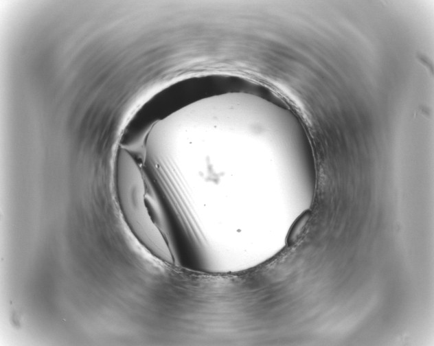 X0000093161528200710241010