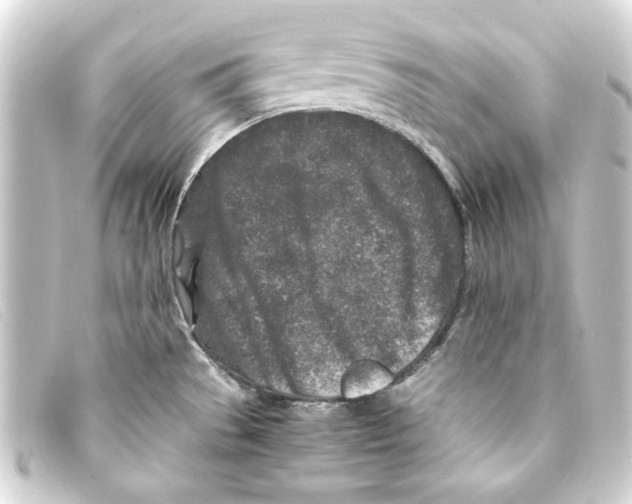 X0000093161529200710241010