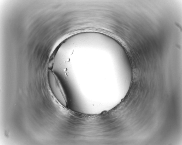 X0000093161530200710241010