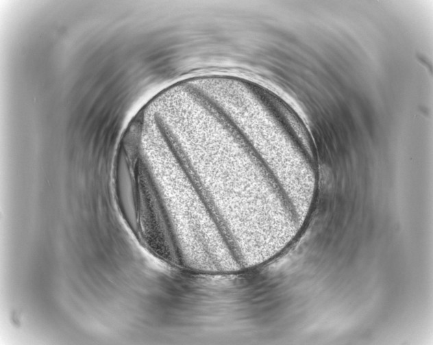X0000093161533200710241010