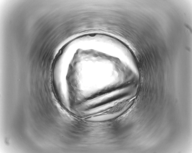 X0000093161534200710241010