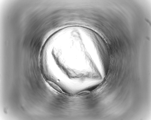 X0000093161535200710241010