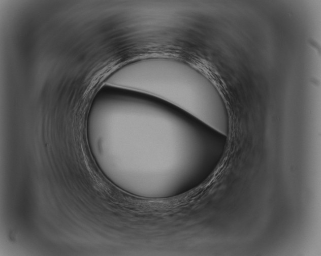 X0000093170001200709261105
