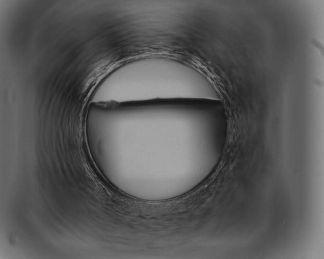X0000093170002200709261105