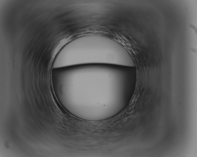 X0000093170003200709261105