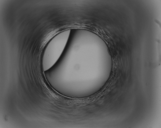 X0000093170005200709261105