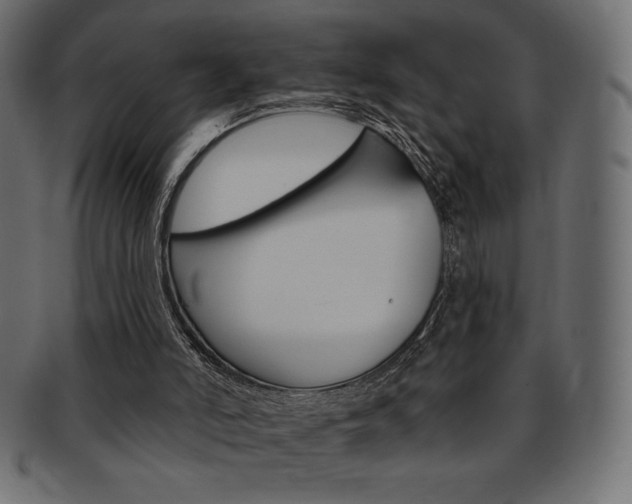 X0000093170006200709261105