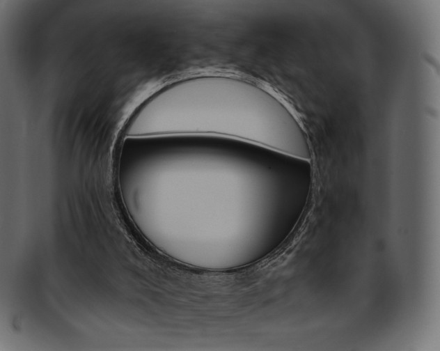 X0000093170008200709261105