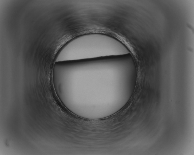 X0000093170010200709261105