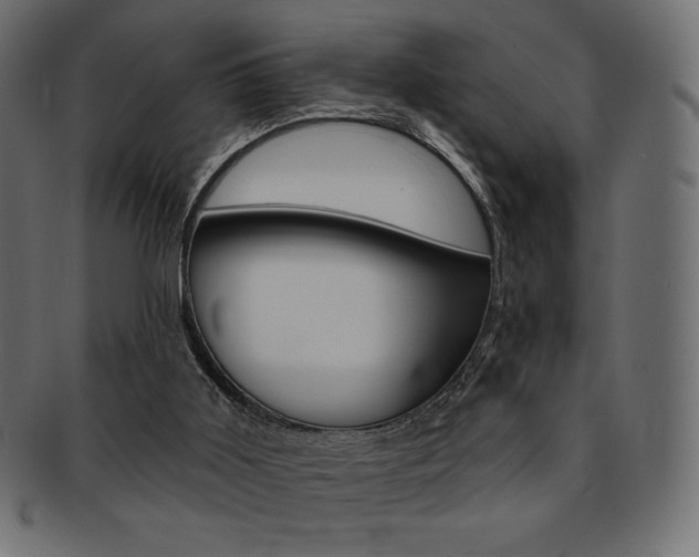 X0000093170011200709261105