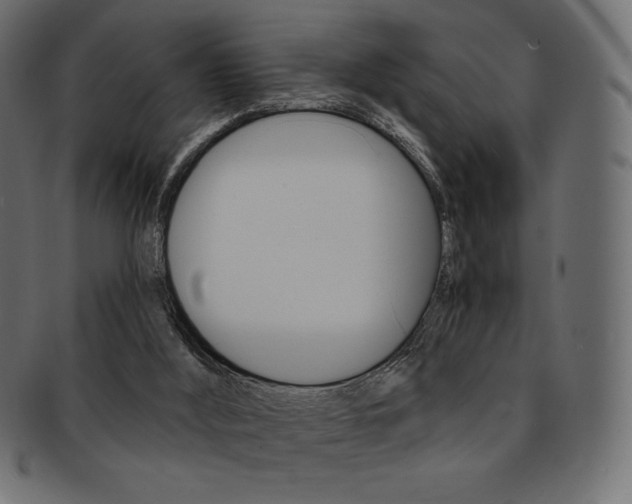 X0000093170012200709261105
