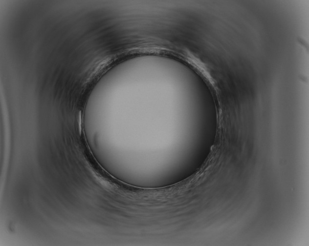 X0000093170013200709261105