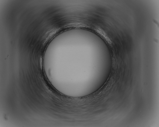 X0000093170014200709261105