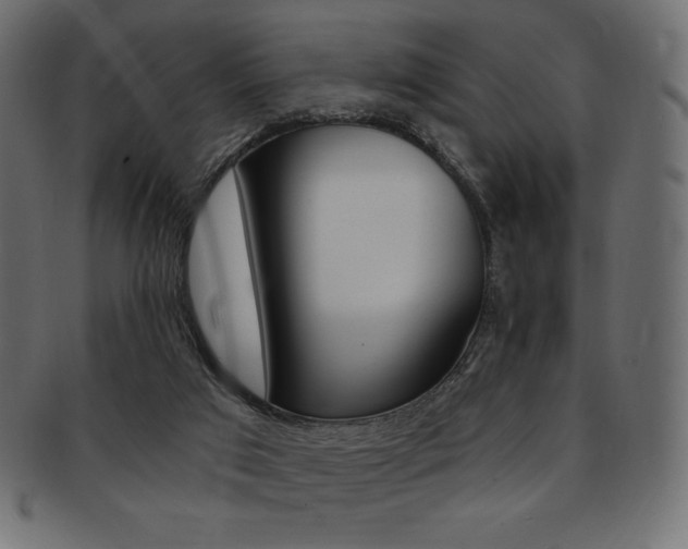 X0000093170017200709261105