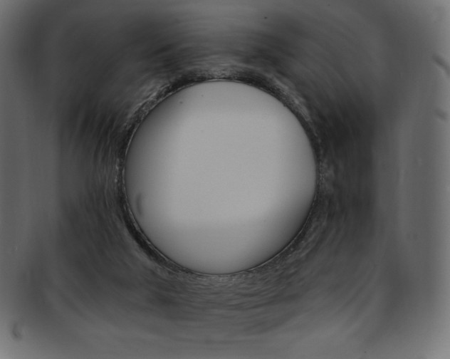 X0000093170018200709261105