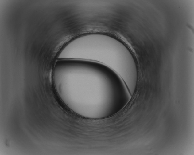 X0000093170019200709261105
