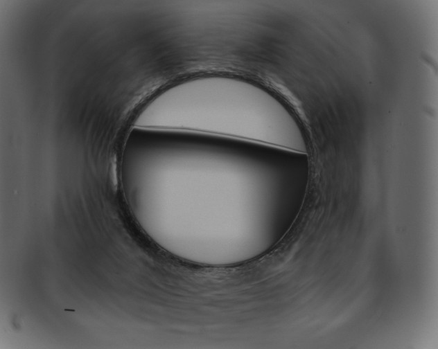X0000093170020200709261105