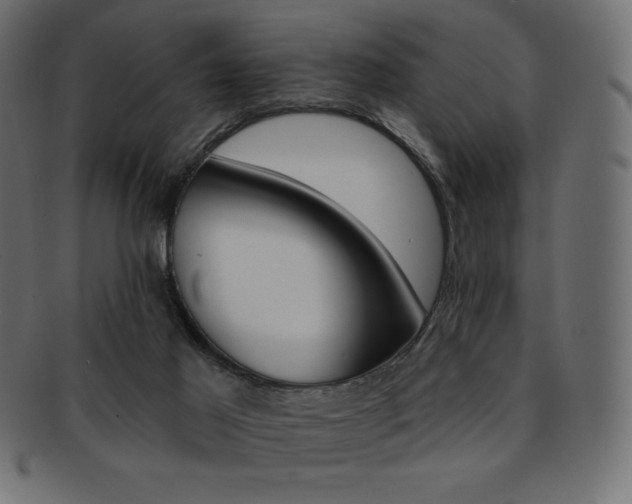 X0000093170021200709261105