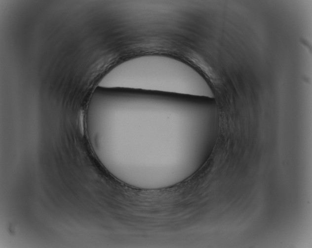 X0000093170022200709261105