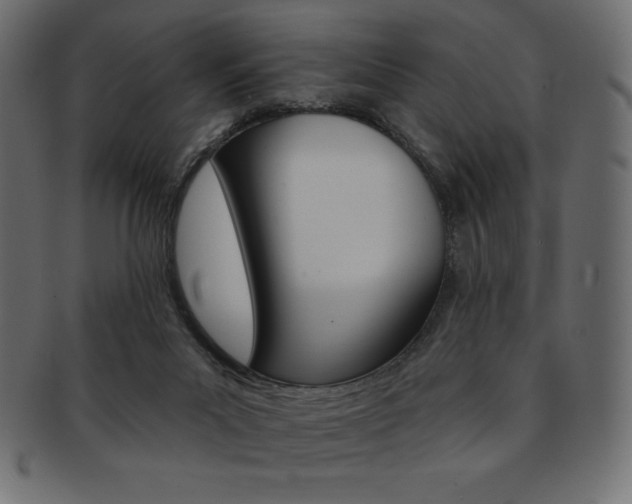 X0000093170023200709261105