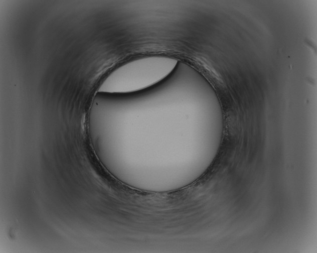 X0000093170024200709261105