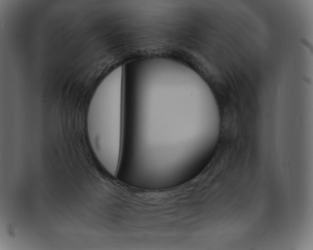 X0000093170025200709261105