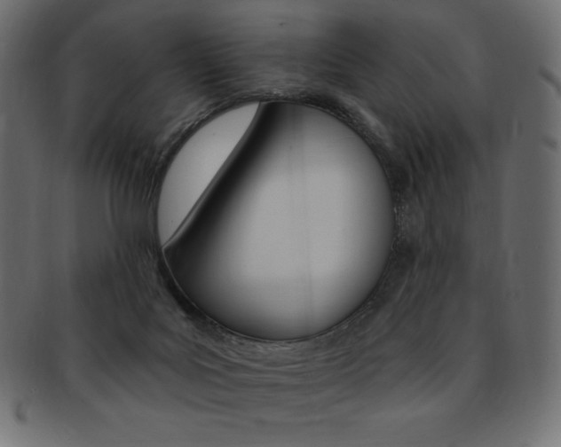 X0000093170027200709261105