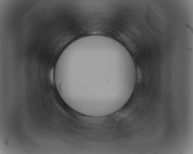 X0000093170028200709261105
